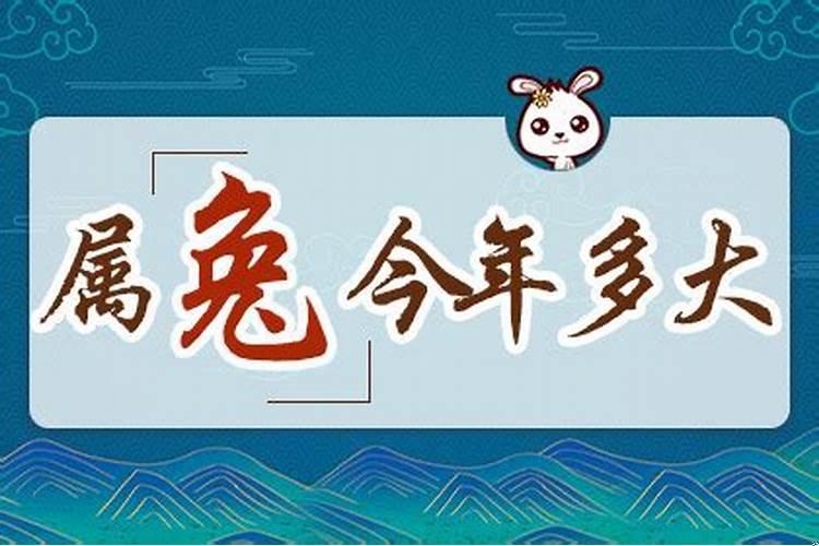 属兔的今年什么时候怀孕是女孩