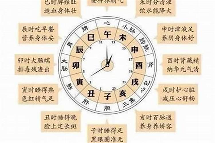 如何看时辰的八字