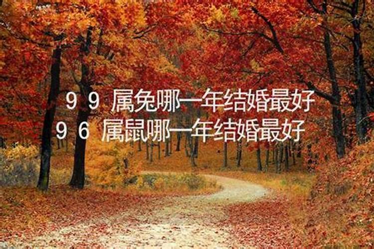 属兔的那一年结婚最好