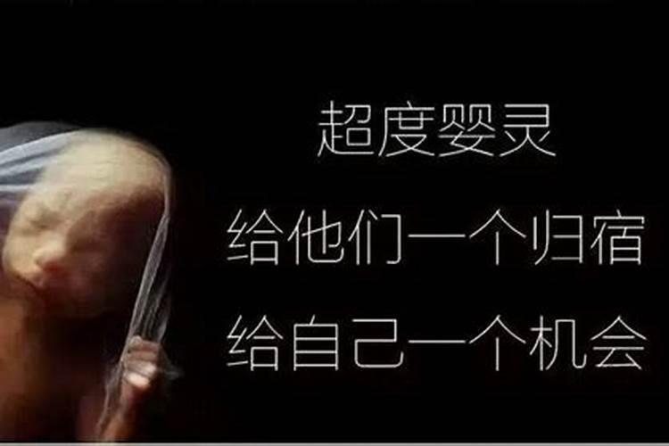 属马女人的性格特点