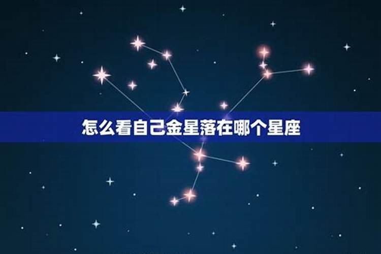 花心的金星星座