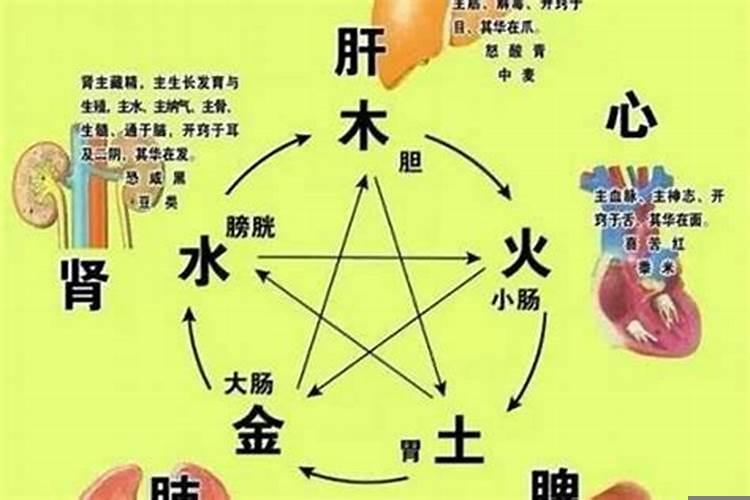 还阴债用抄寿生经吗