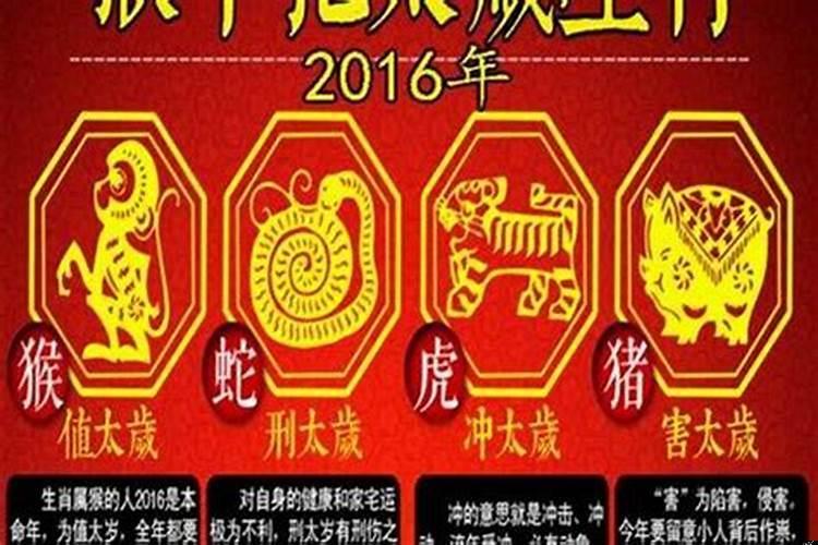 属蛇2021年犯太岁吗?