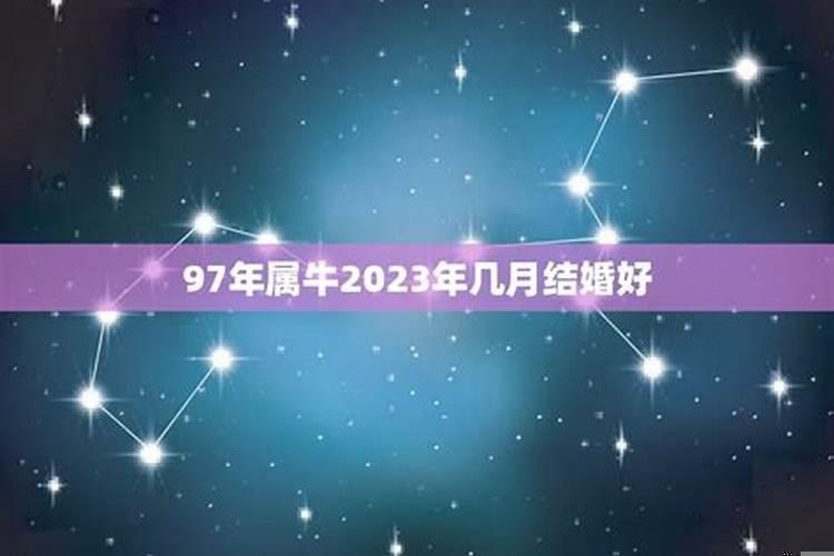 97年属牛2023年结婚大利月