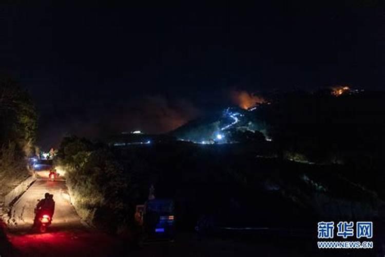 梦到山上起火我去救火了