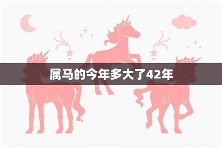 属马人2021年多大岁数