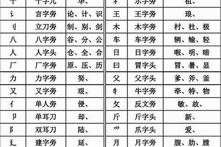 八字结构和部首是什么意思