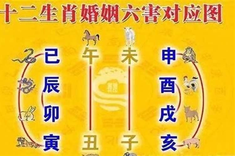 太准了,夫妻八字相配属相