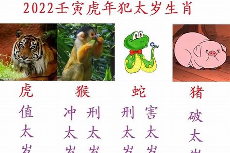 属虎今年太岁元辰是什么意思