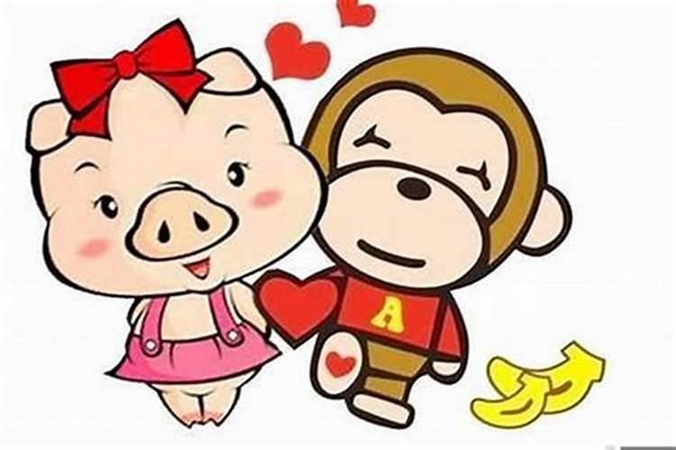 算命猴跟猪婚姻怎么样