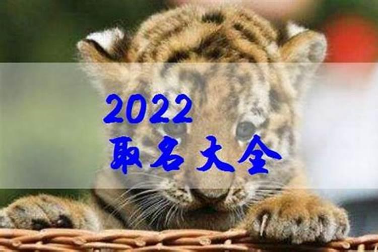 2022年属虎7月出生的宝宝双胞胎取名字