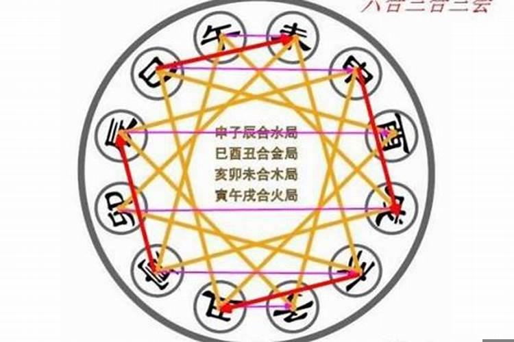 八字地支相合蕴藏的秘密有哪些