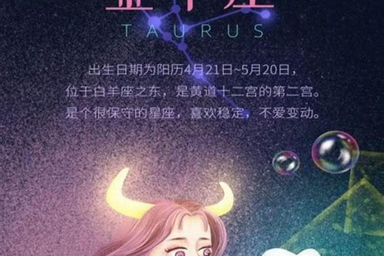 如何追金牛男不伤感情