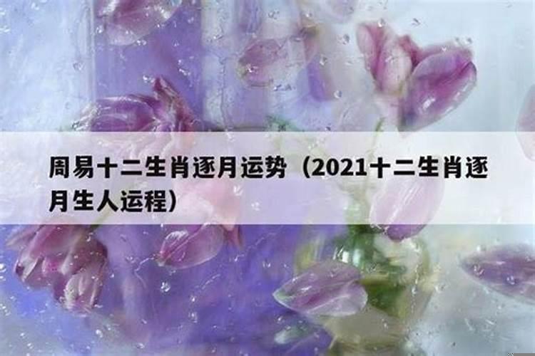 十二生肖八月运势2021