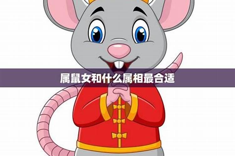 新派八字合婚怎么看