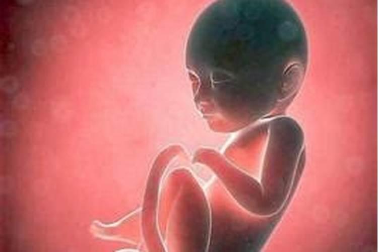 堕胎婴灵重生