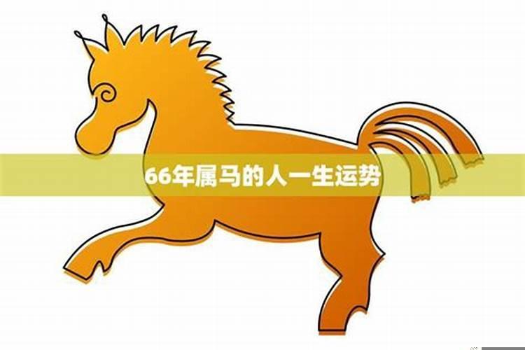 66年马年命运如何