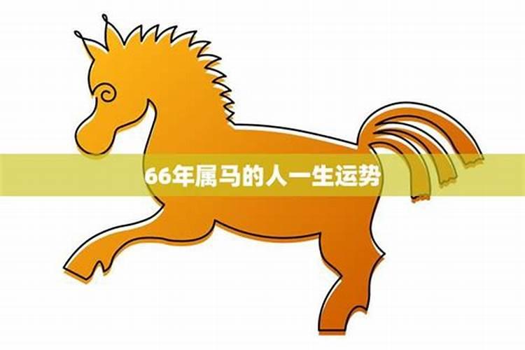 66年马年命运如何