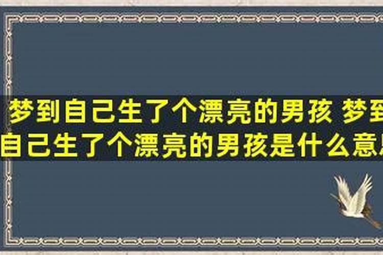 梦到自己生了一个漂亮的男孩