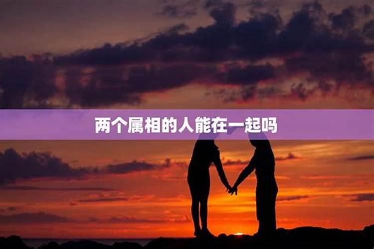 如果两个生肖相克的人结婚了怎样化解