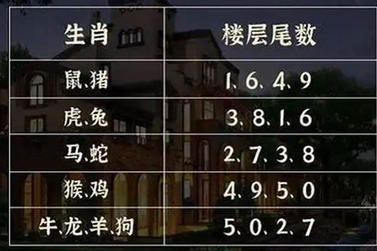 属相属兔和楼层的关系怎么样