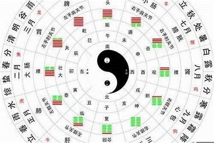 八字五行全是水木