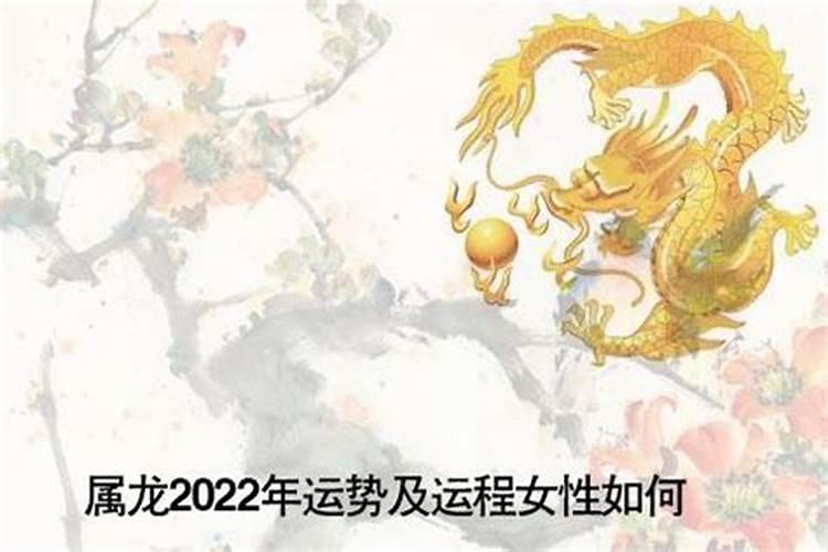 属龙年运势2023年运程