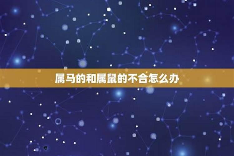 属鼠和属马不合怎么化解婚姻