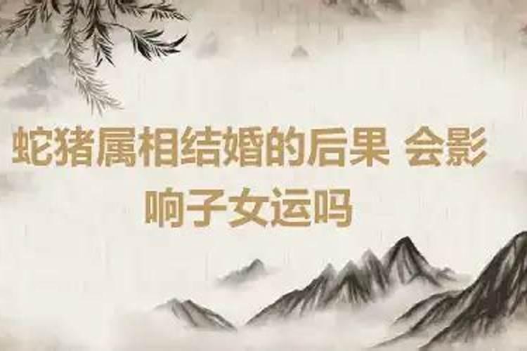 属相结婚的后果