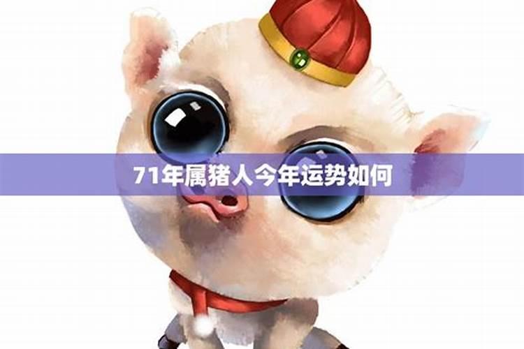 属猪人8月份运势如何2023