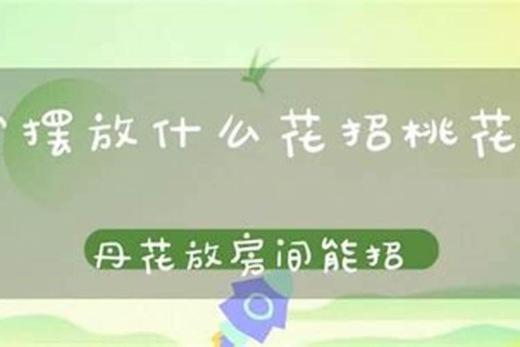 屋里摆放什么花招桃花