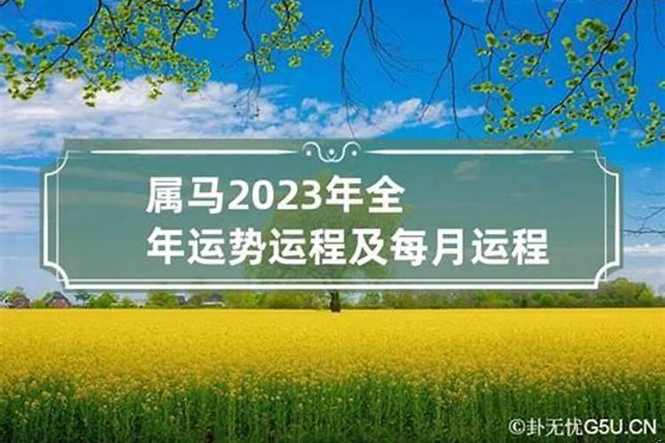 2023生肖马运势大全每月运程