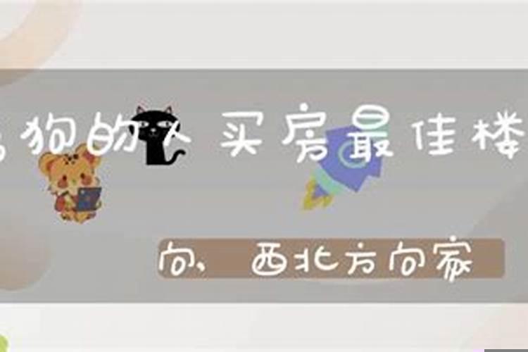 94年属狗的买房最佳楼层和方位