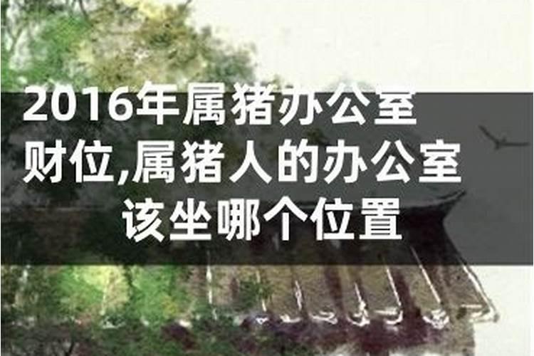 属猪办公室朝向的最佳方位