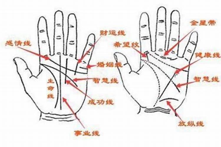 五大生肖不适合戴翡翠