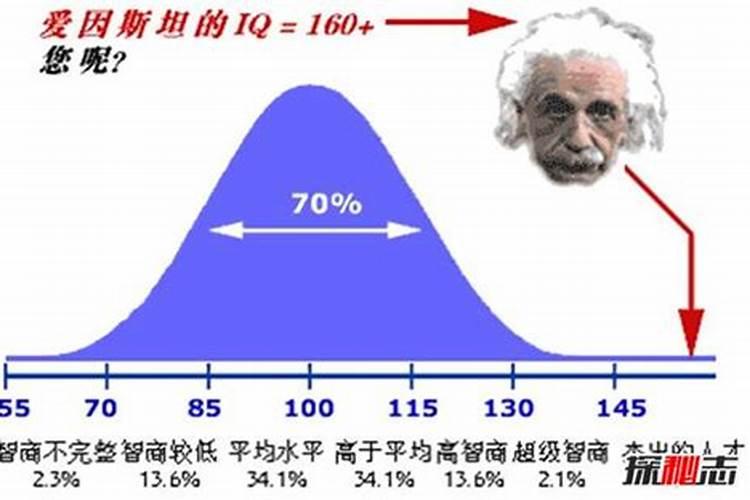 年纪越大越聪明的生肖有哪些动物呢