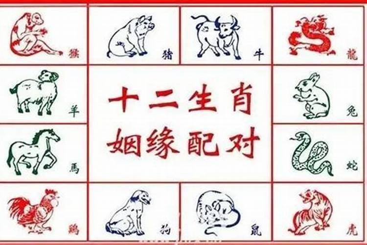 八字怎么看身弱