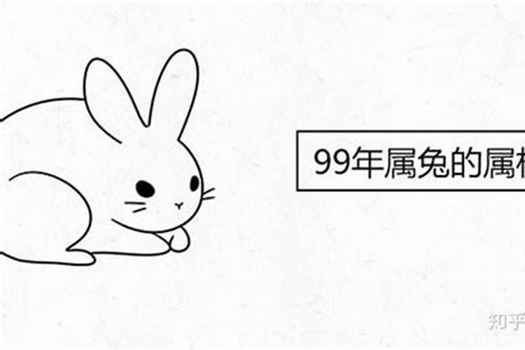 99年属兔女孩子多少岁结婚