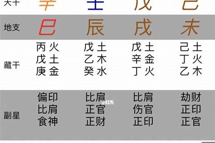 快速学会算命看八字