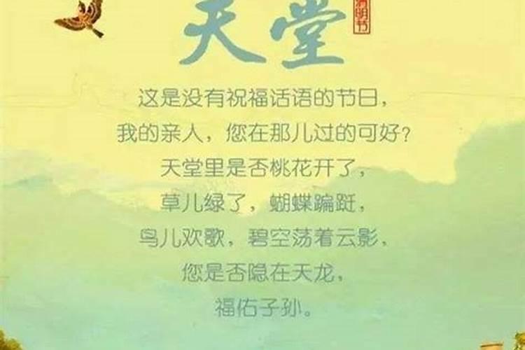 属兔的本命年带什么好