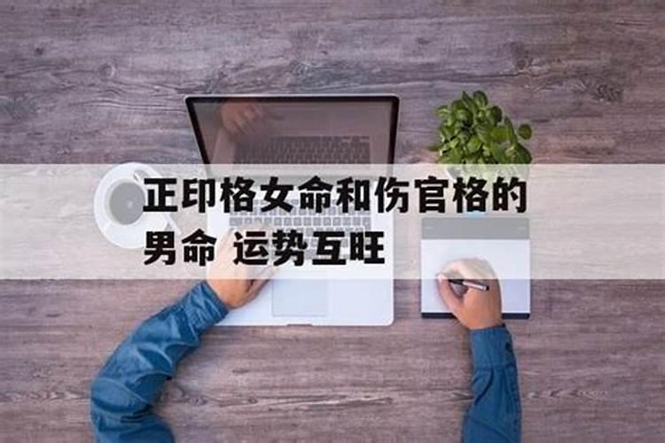 梦见狗攻击我我把狗打死了出血了