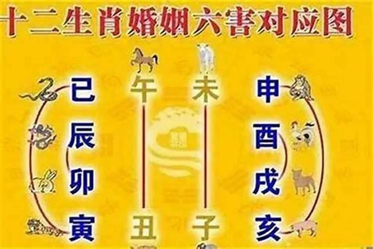 属马人与哪几个属相婚配好