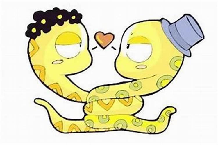 蛇跟什么属相合婚