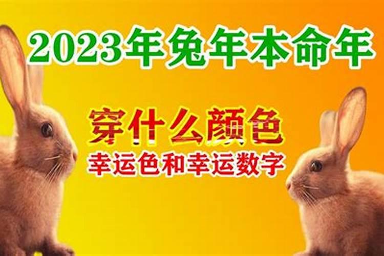 2023年属兔本命年穿什么