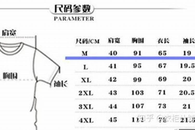 还替身一般多大尺寸