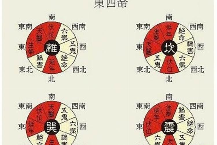 无效婚姻可以上诉吗