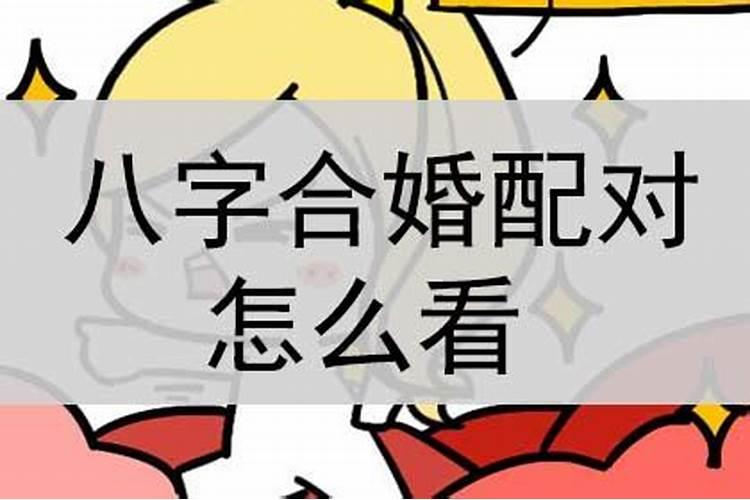 八字配对婚姻运势