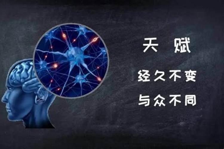 适合技术的八字特征