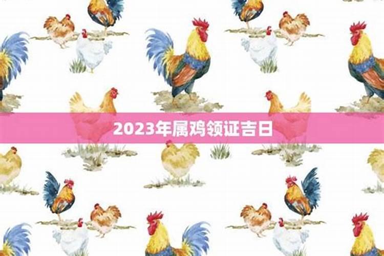 属鸡2023结婚最佳月份