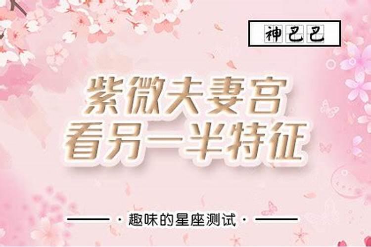 男方本命年可以结婚吗属兔人